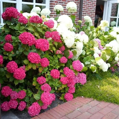 Semesterbostad Watthuus Kiebitzhoern Ground Floor