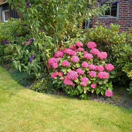 Holiday home Watthuus Kiebitzhoern Ground Floor *