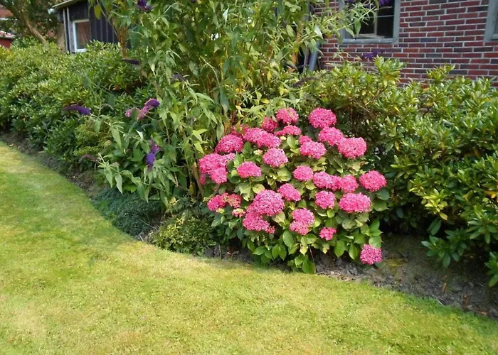 Watthuus Kiebitzhoern Ground Floor * Horumersiel