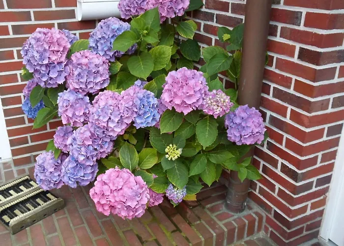 Watthuus Kiebitzhoern Ground Floor * Horumersiel